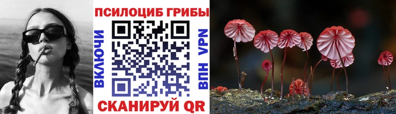 Купить  Павлово  Псилоцибиновые грибы мицелий 